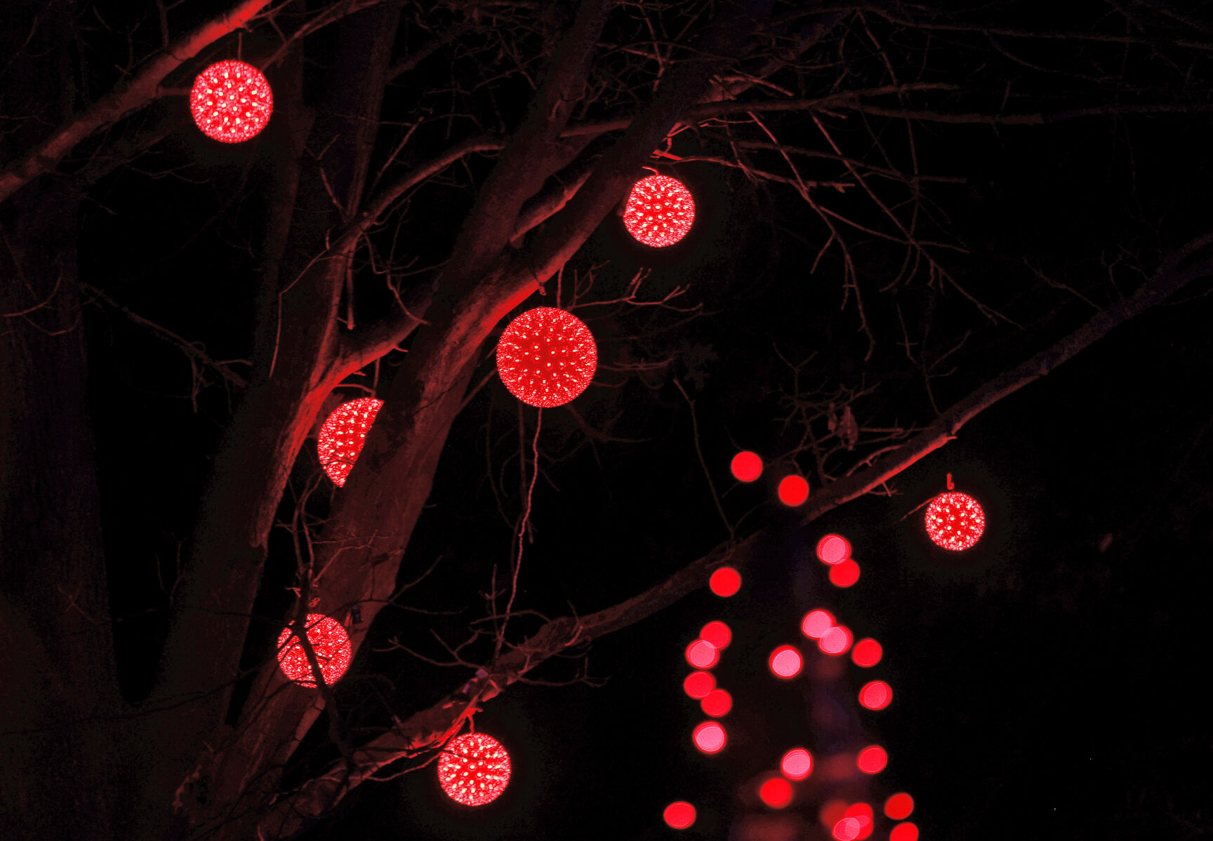 SOWI_231124_JVG_LIGHTS15.JPG